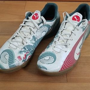 puma dragon puma dragon